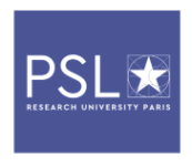 Université PSL